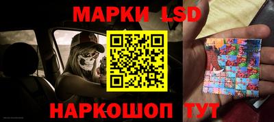 шишки Лесосибирск