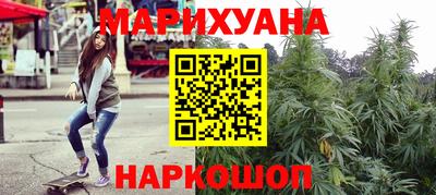 шишки Лесосибирск