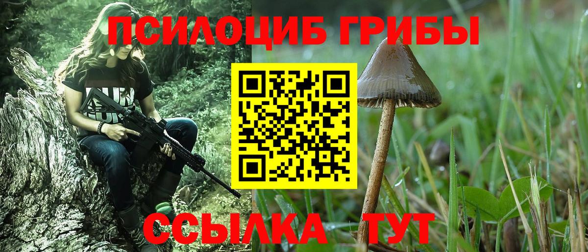 Зеленодольск  Псилоцибиновые грибы мухоморы  Вход с VPN 